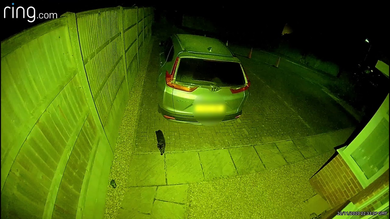 RSPB Approved Catwatch Cat Deterrent In Operation
