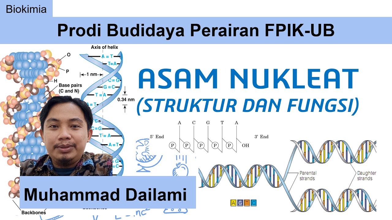 Biokimia: Struktur dan Fungsi Asam Nukleat