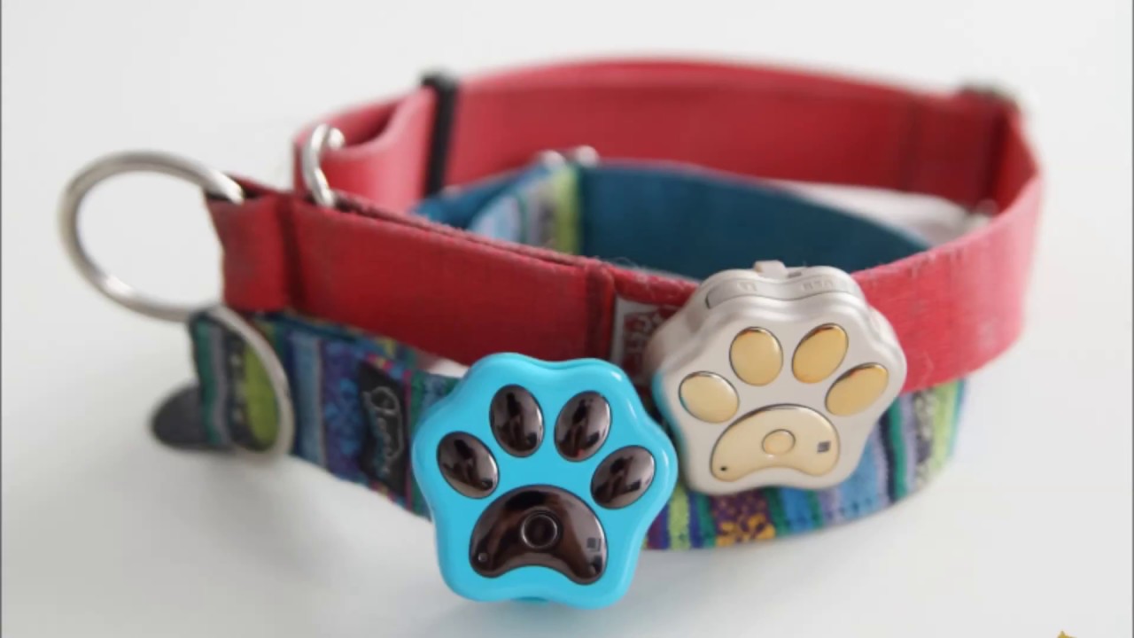 Lokalizator dla psa - Calmean Pet Tracker