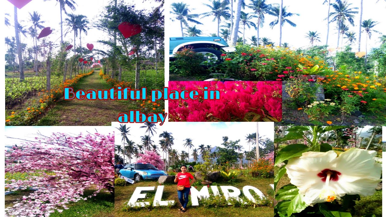 Beautiful Place in Albay (El Miro De Shei Integrated Farm) #my1stadventure