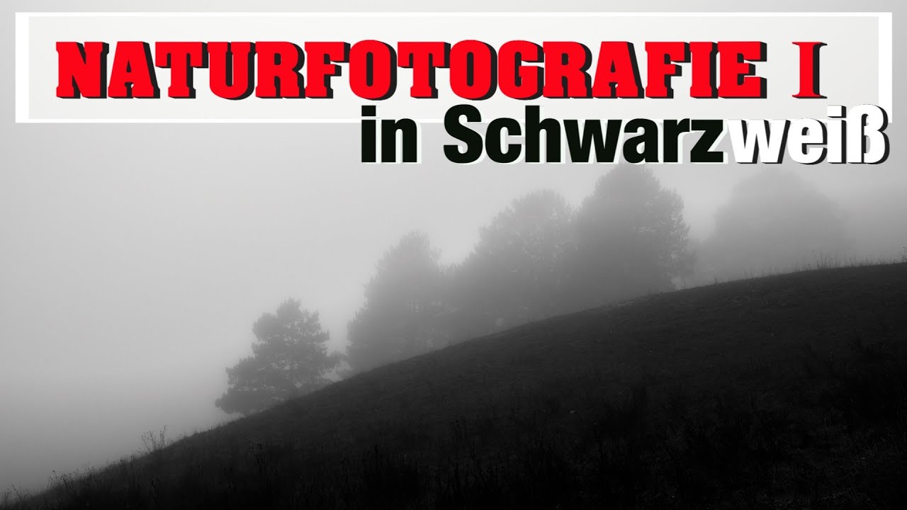 Nebellandschaft in Schwarzweiß - part one