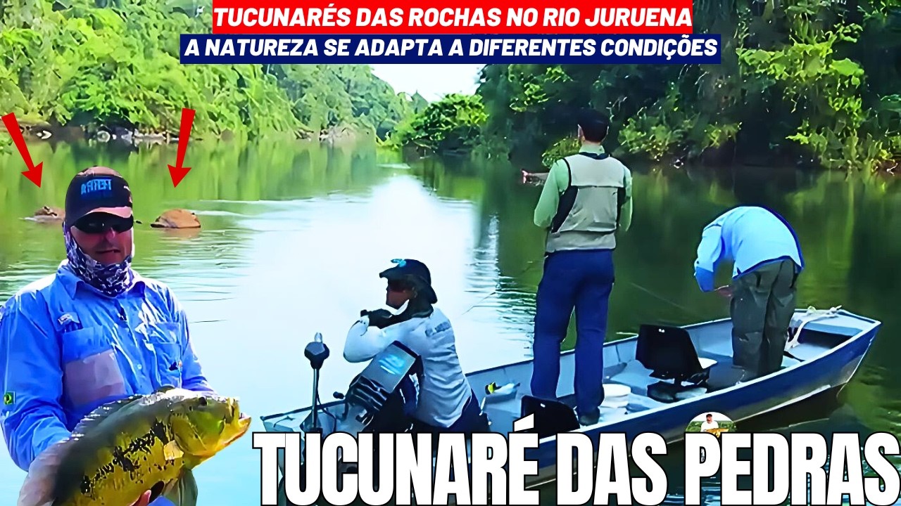 QUE SURPRESA NESSA PESCARIA OS ATAQUES DOS TUCUNARÉS DESSE RIO VEM DAS PEDRAS E NÃO DAS GALHADAS