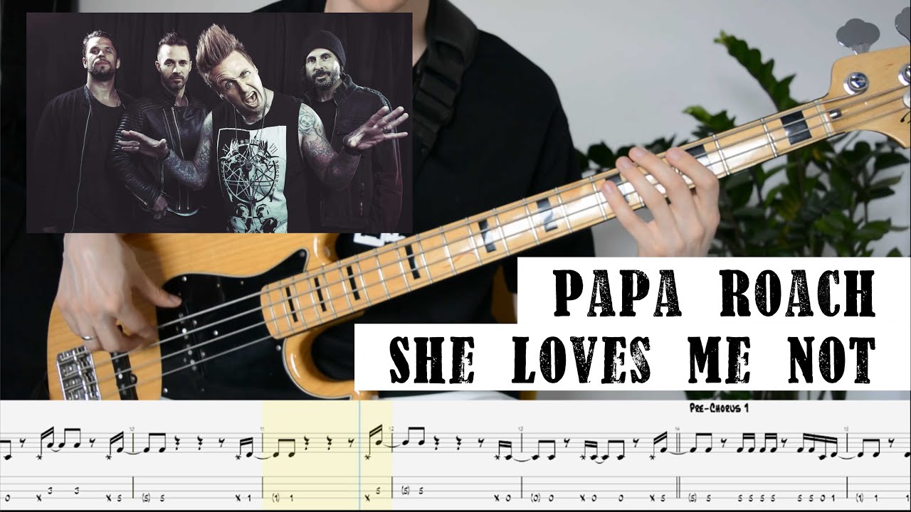 BassTabs | Papa Roach - She Loves Me Not | Бас табы