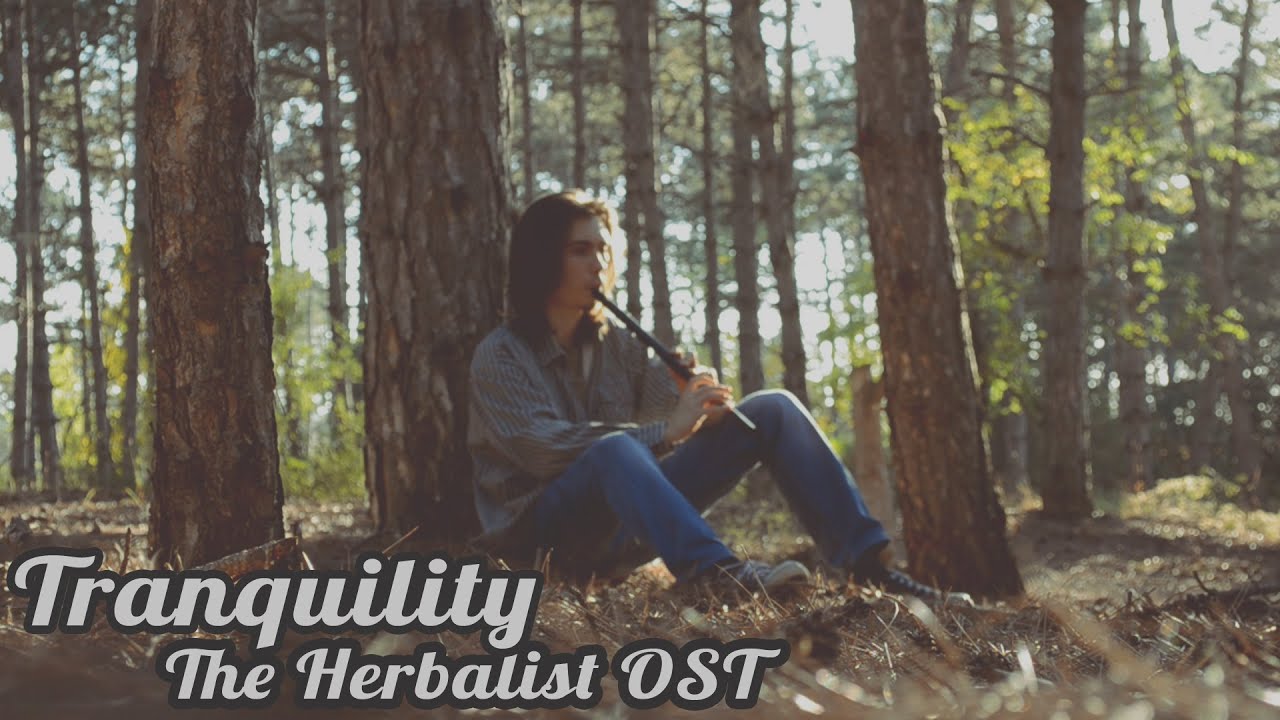 Dryante - Tranquility [Травница | The Herbalist OST](Sergey Eybog Cover)