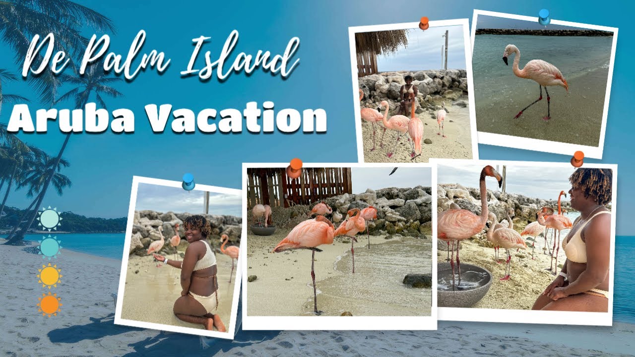 De Palm Island: Aruba All Inclusive Island