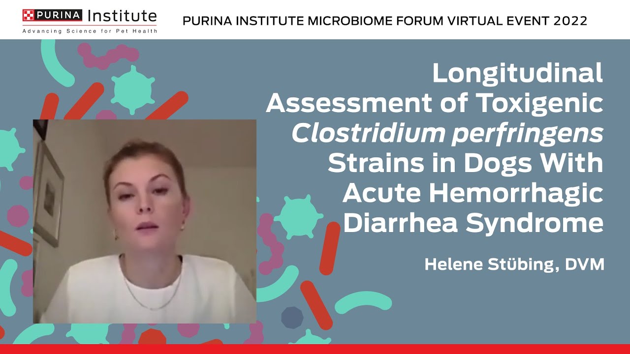Longitudinal Assessment of Toxigenic Clostridium perfringens Strains in Dogs With AHDS