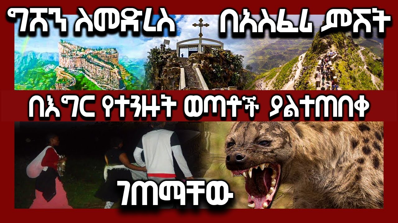 ግሸን ለመድረስ በአስፈሪ ምሽት በእግር የተጓዙት ወጣቶች የገጠማቸው ያልተጠበቀ ክስተት | Ethiopia @AxumTube