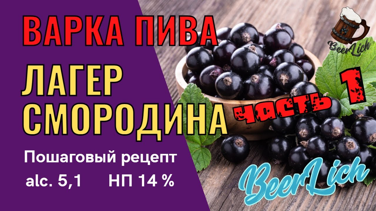 Как сварить ПИВО СО СМОРОДИНОЙ ДОМА -  Ягодный лагер. Пошаговый и простой рецепт. Часть 1