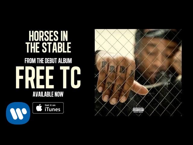 Ty Dolla $ign - Horses In The Stable [Audio]