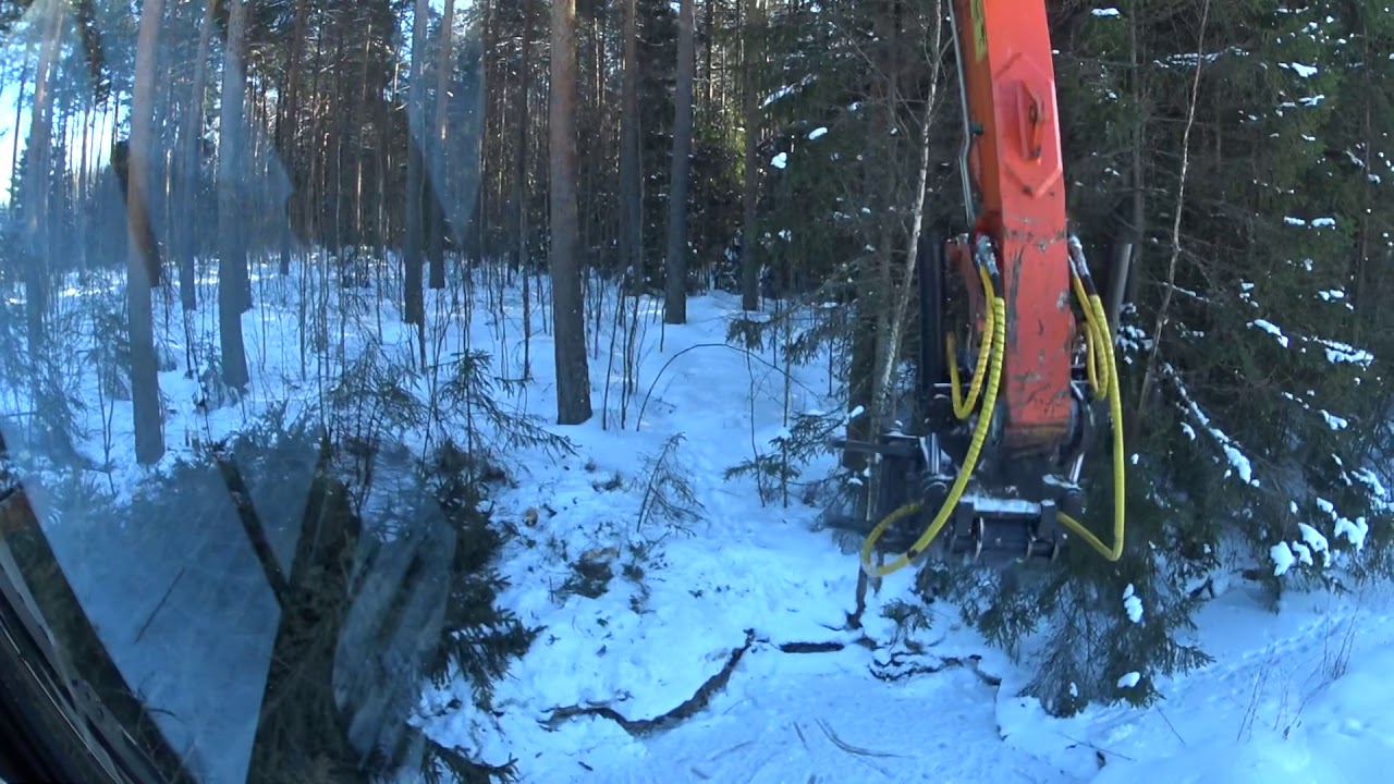 Energiapuun hakkuuta pellonlaidalta Hitachi Zx 135 ja Jak 300