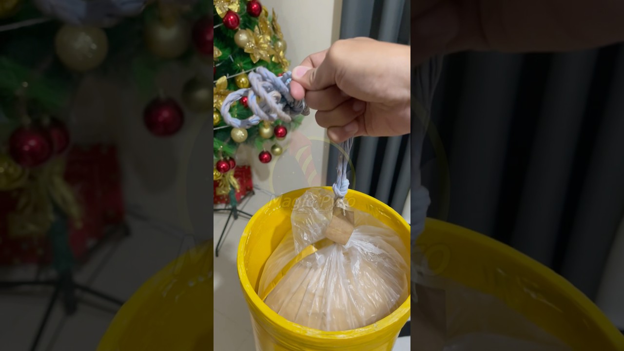 8 INCH GOLDEN WILLOW #fireworks #foryou #magicpyro #viralvideo