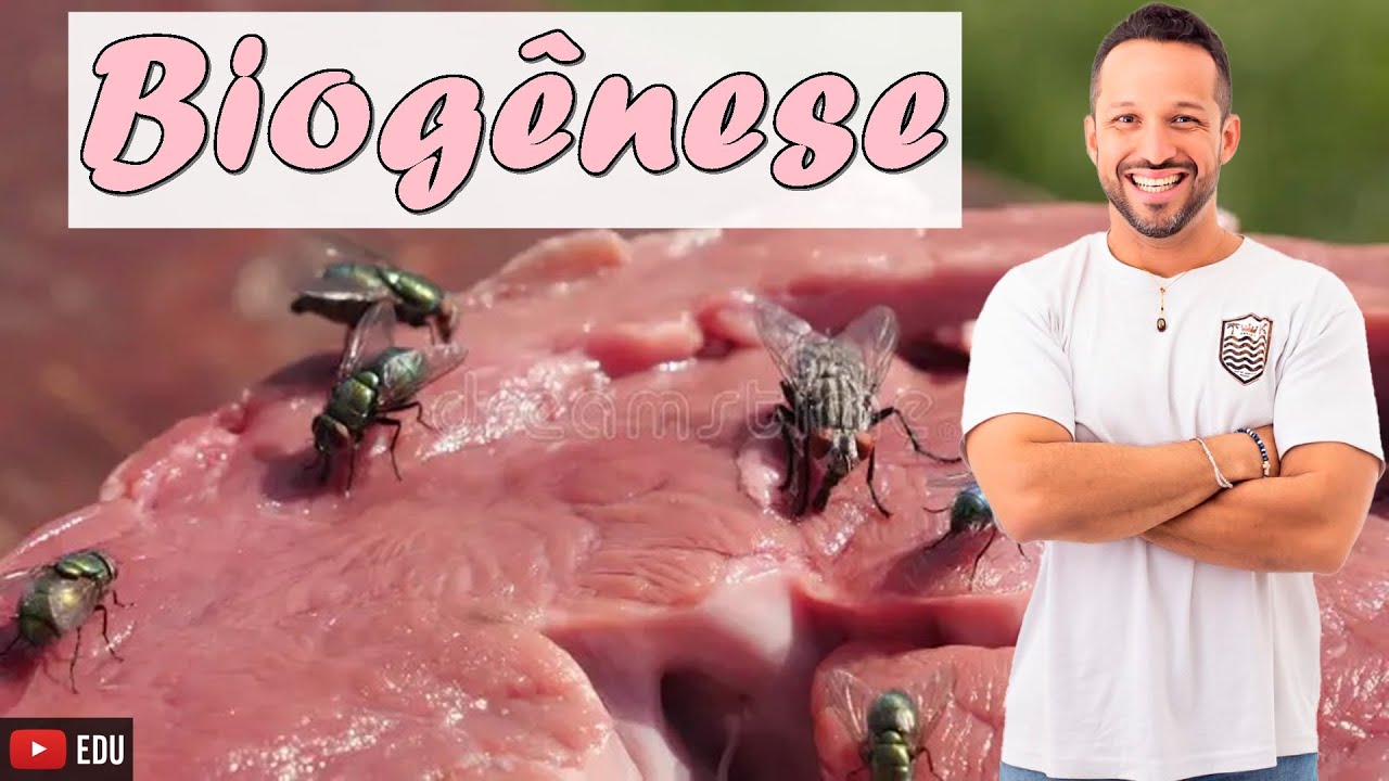 Biogênese - Conceito e Exemplos - Origem da Vida