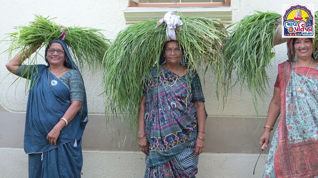 આપણા પ્યારા નાગવીરી ગામની પ્રાચીન સંસ્કૃતિ