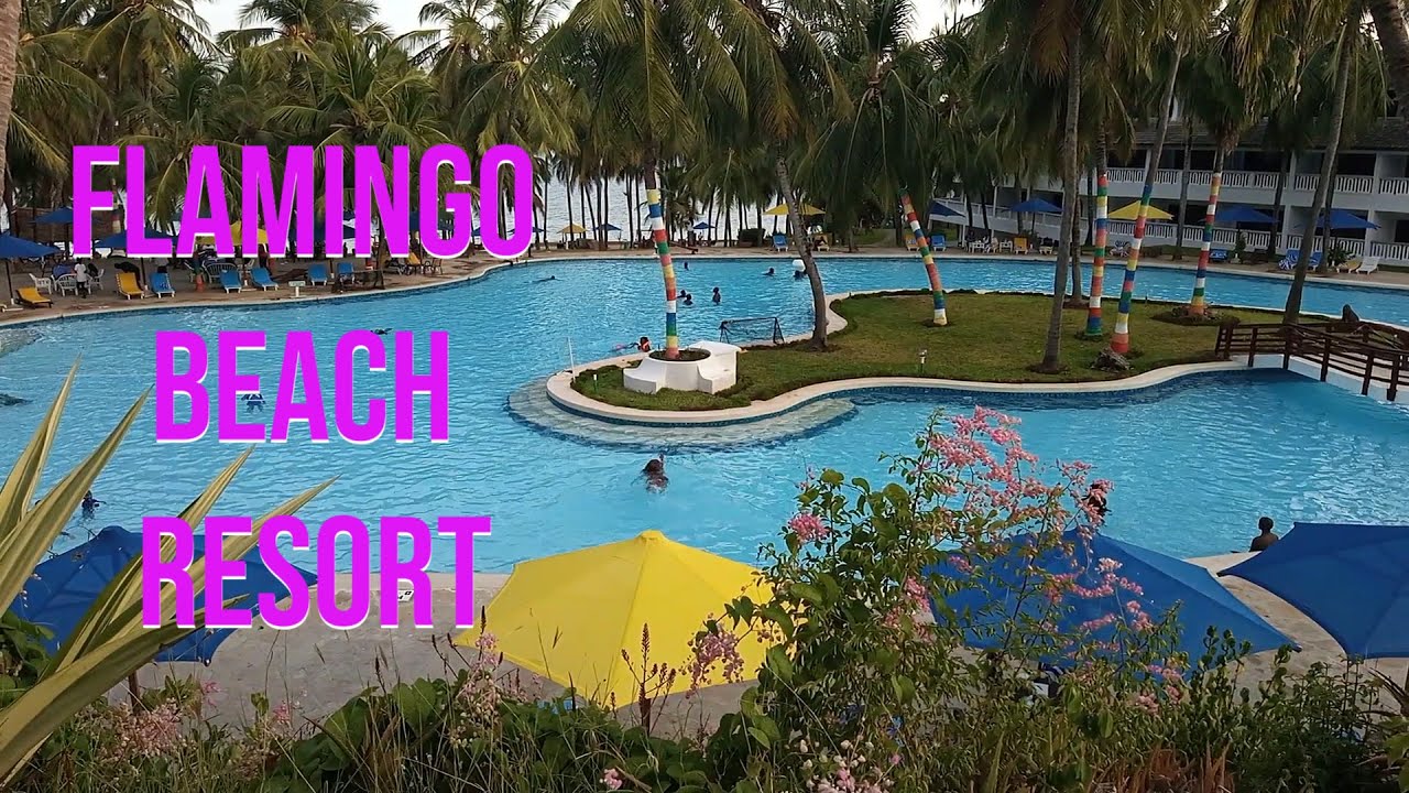FLAMINGO BEACH RESORT MOMBASA EXPERIENCE