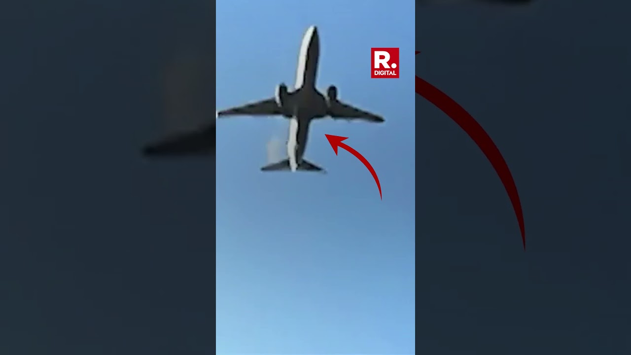 Video Captures Exact Moment South Korea Plane Suffers Bird Hit