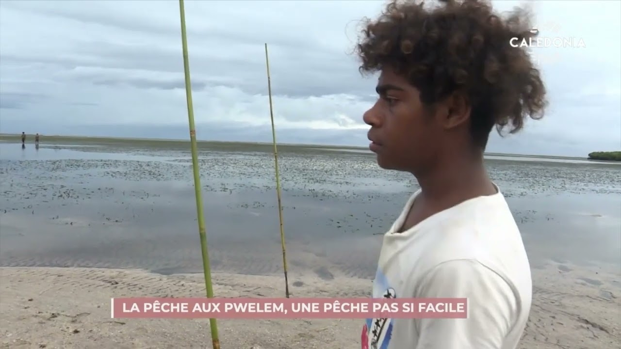 Pouebo : de la fabrication de la sagaie à la dégustation du Pwelem
