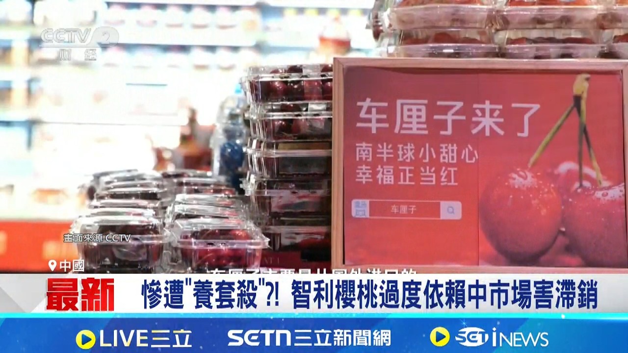 90%產量銷中國! 智利櫻桃價格暴跌近7成 慘遭