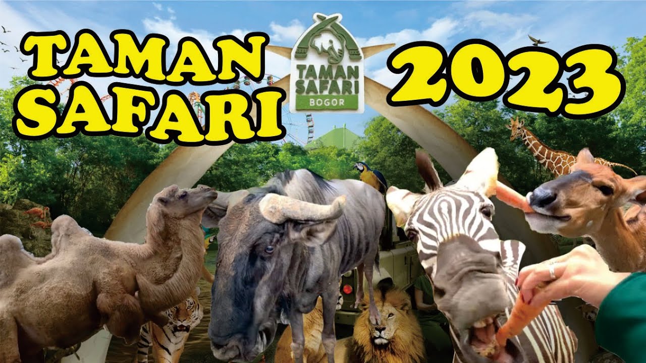 HARGA TIKET TAMAN SAFARI BOGOR ( TERBARU 2023 )