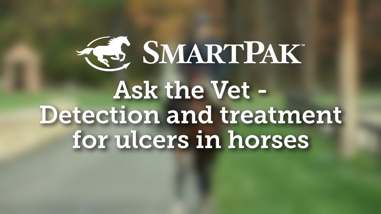 Ask the Vet - Detection and treatment for ulcers in horses