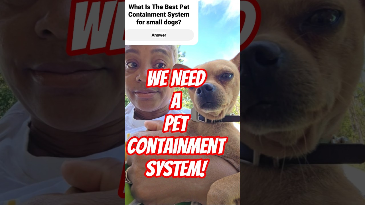 What Is The Best Pet Containment System? 