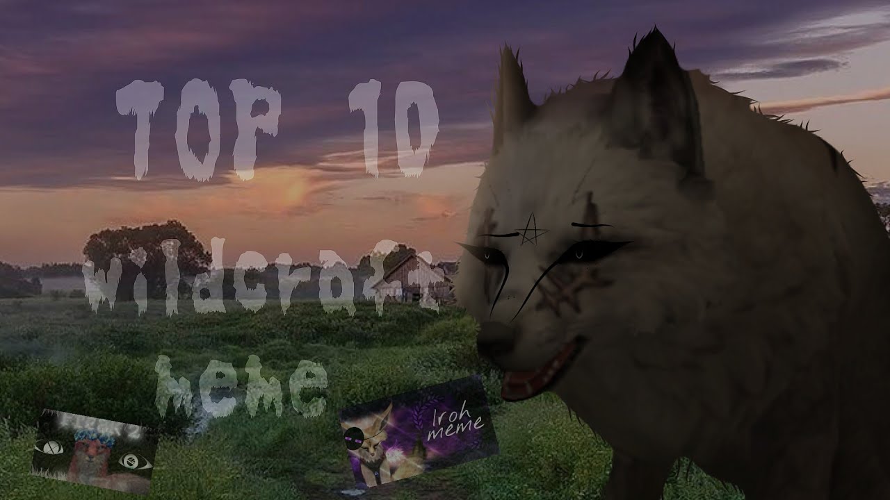 ||TOP 10 WILDCRAFT MEME|| нас 100!