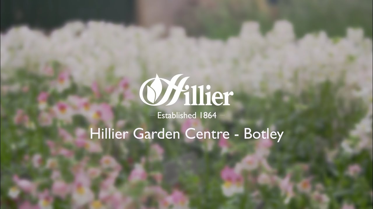 Hillier Garden Centre Botley Virtual Walkthrough
