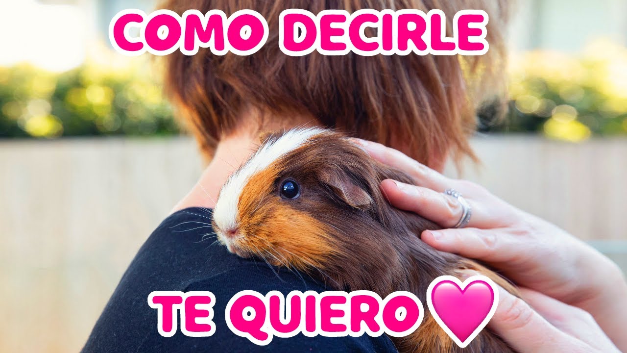 5 Formas de decirle TE QUIERO a tu CUYO 💗