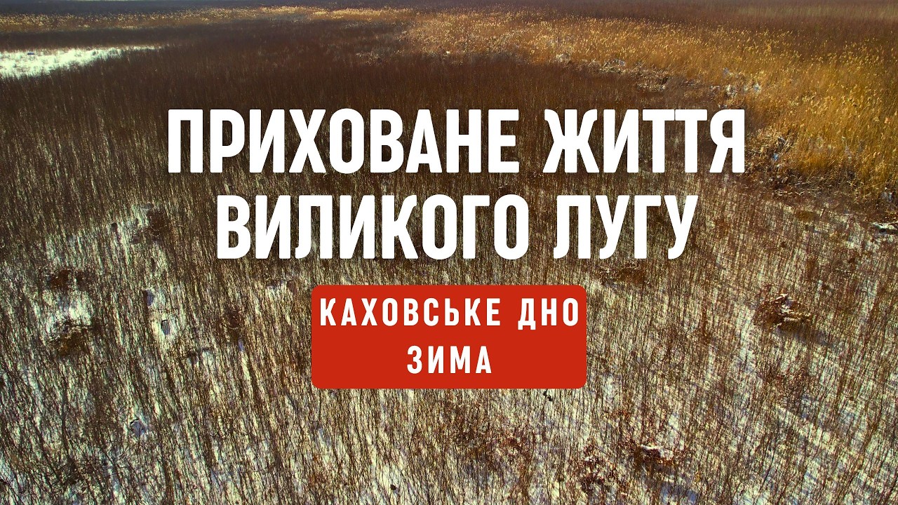 Приховане життя Виликого лугу. Плавневі ліси, Очерета, Птахи і Зима