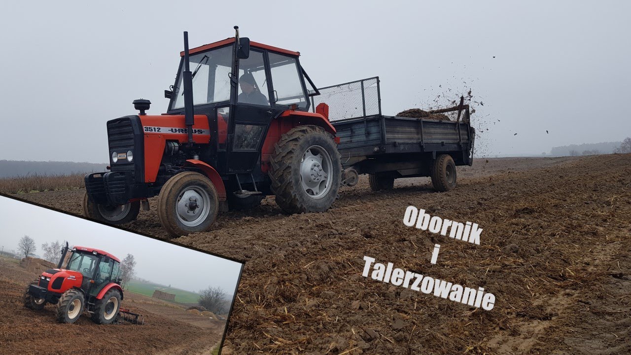 Wywóz Obornika i Talerzowanie 2021  | ZETOR PROXIMA 8441 & URSUS 3512  |
