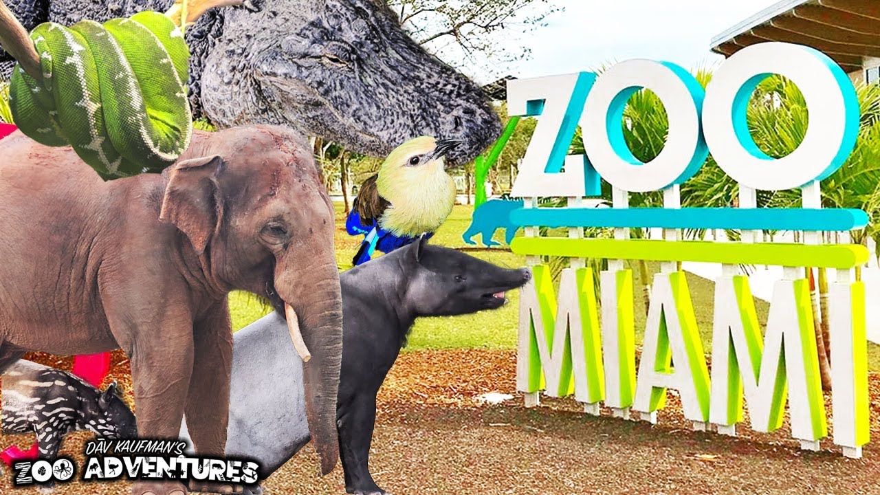 ZOO MIAMI TOUR! Reptiles, Birds, & More!