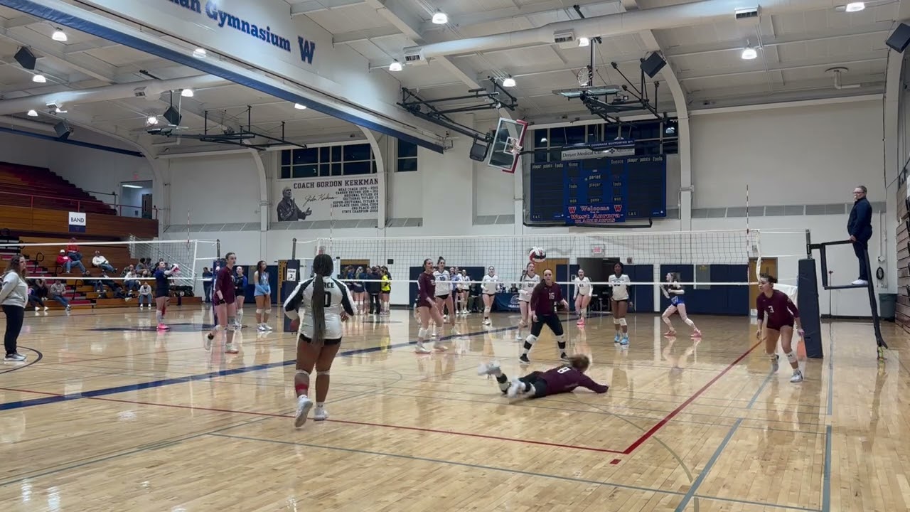 Fierce Elite 18 VS IPV 18 Royal