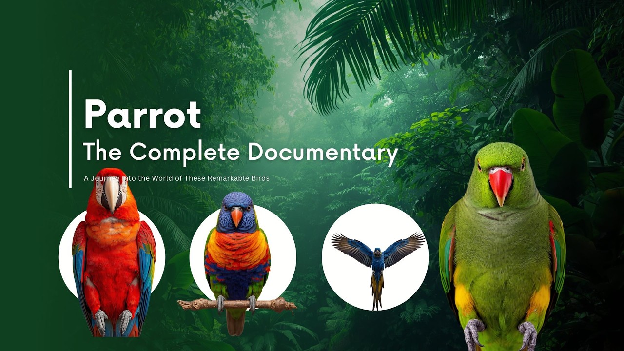 Why Parrots Can Talk (And 12 Other Secrets)