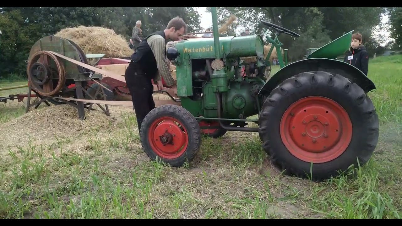 Elfer Deutz , F1M414 Gut Steinhof 2021