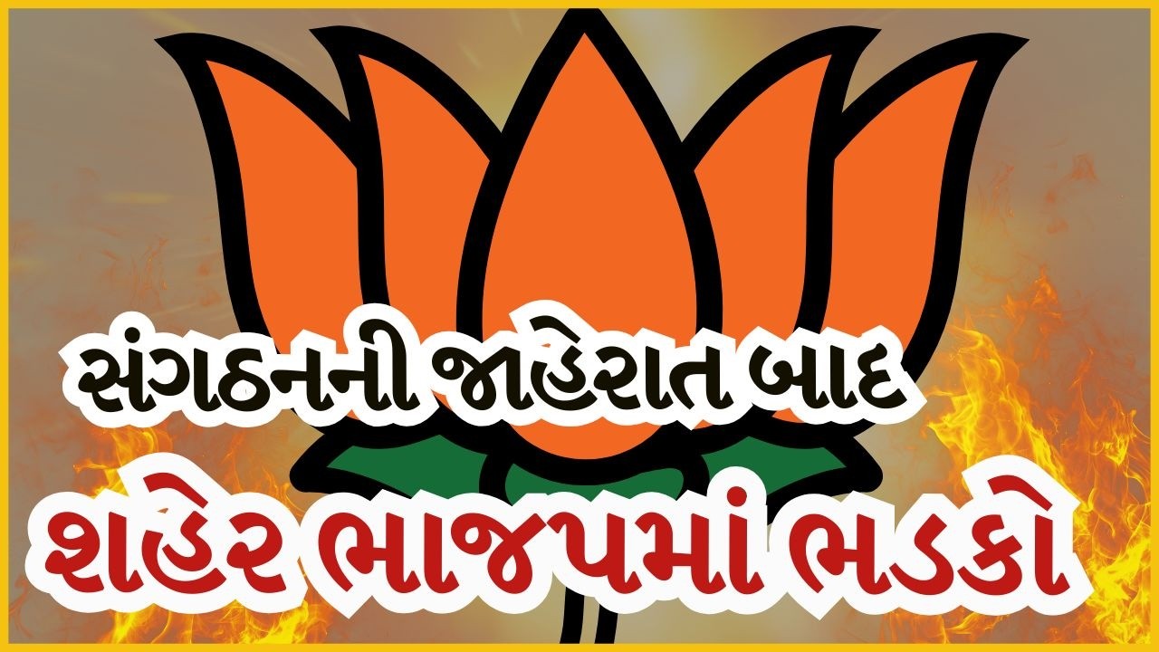 સંગઠનની જાહેરાત બાદ શહેર ભાજપમાં ભડકો | Navsari | BJP | TV9Gujarati