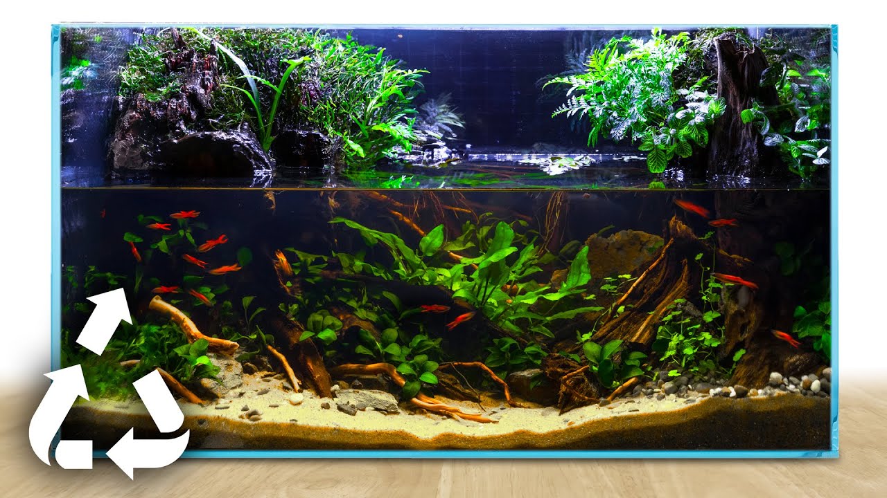 I Made an Upcycled Paludarium. Here’s How.