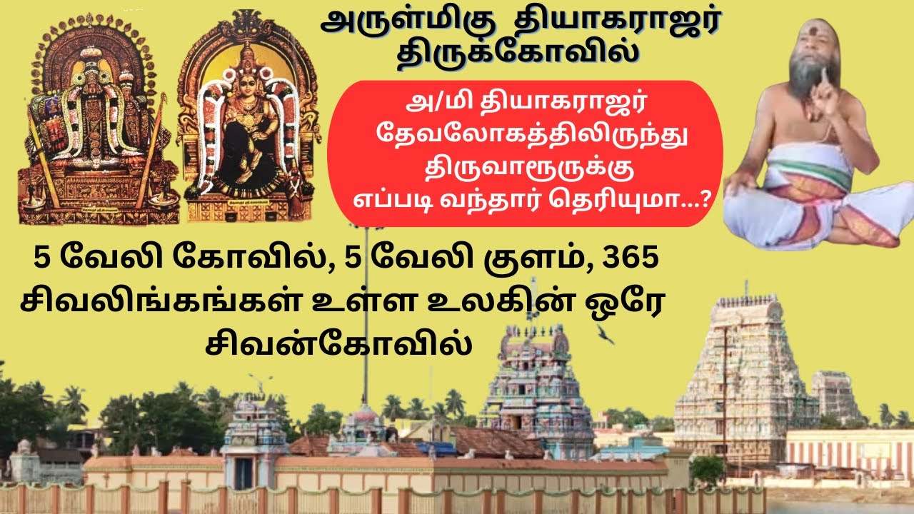 #திருவாரூர் #தியாகராஜர் #கோவில்வரலாறு #சிறப்புகள் #Thiruvarur#temple#Historyintamil