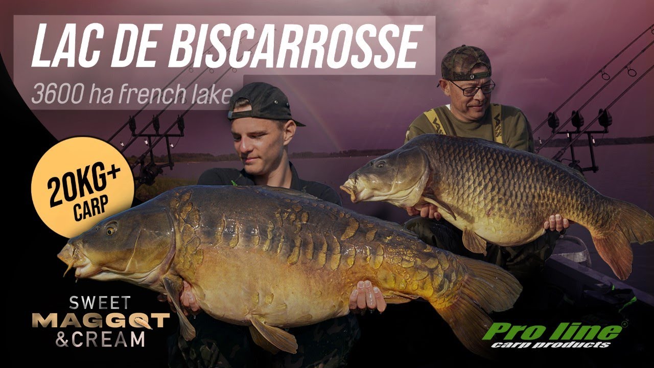 Fishing With Balls - Roadtrip Adventures #2 - Lac de Biscarrosse