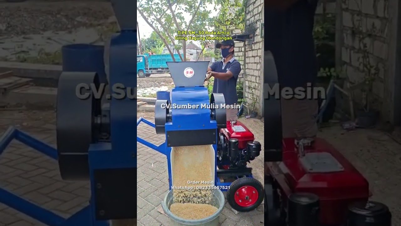 TRIAL GILING JAGUNG GLONDONGAN.MESIN MULTIFUNGSI.CACAH & GILING SEGALA PAKAN TERNAK TIPE 30 RODA 2