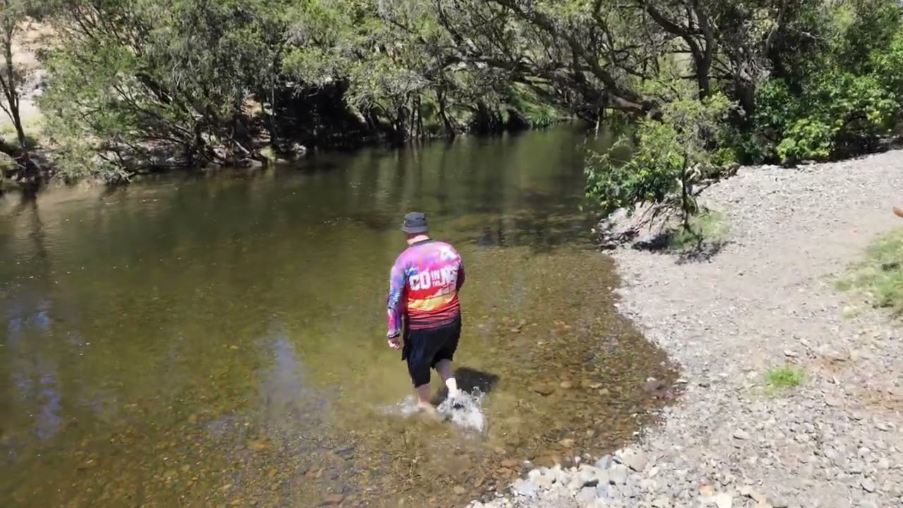 A Summer Dip at Mann River