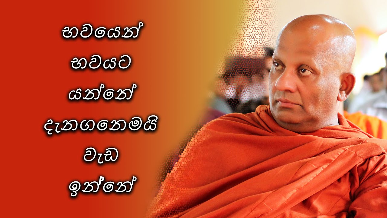 භවයෙන් භවයට යන්නේ දැනගෙනමයි වැඩ ඉන්නේ
