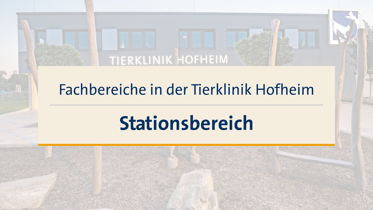 Fachbereiche in der Tierklinik Hofheim &ndash; Stationsbereich
