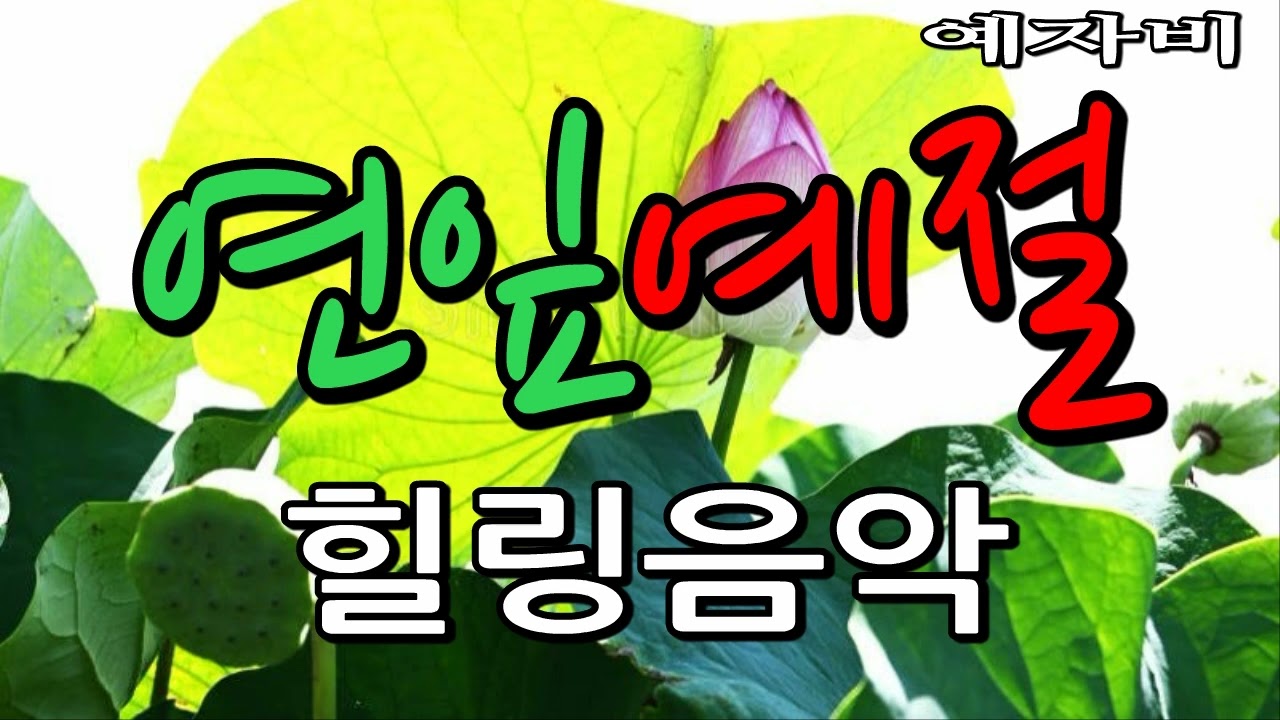 연잎예절/예자비 /힐링음악/