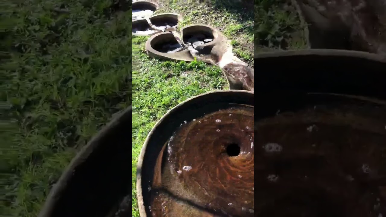 Biodynamic Field Trip #biodynamicfarming #filigreenfarm #AZOLLAFarming #flowforms #vortex
