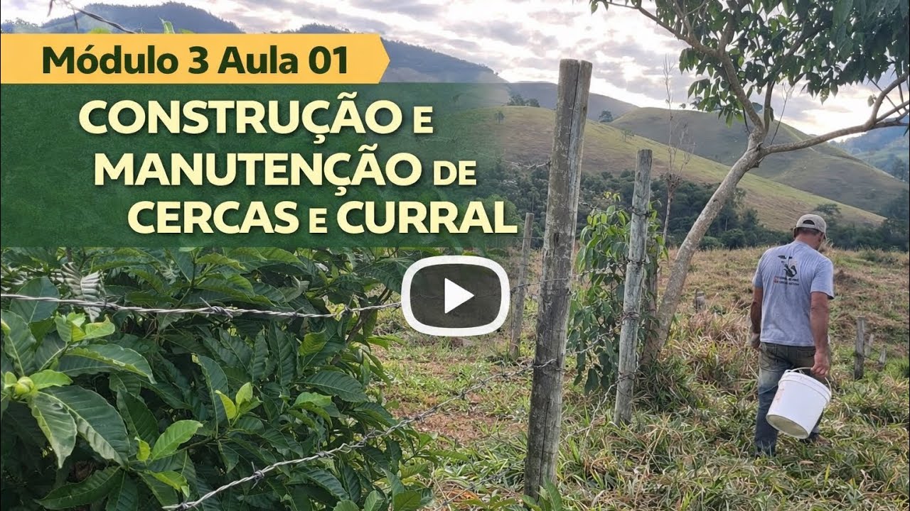 Construção e manutenção de cercas e curral