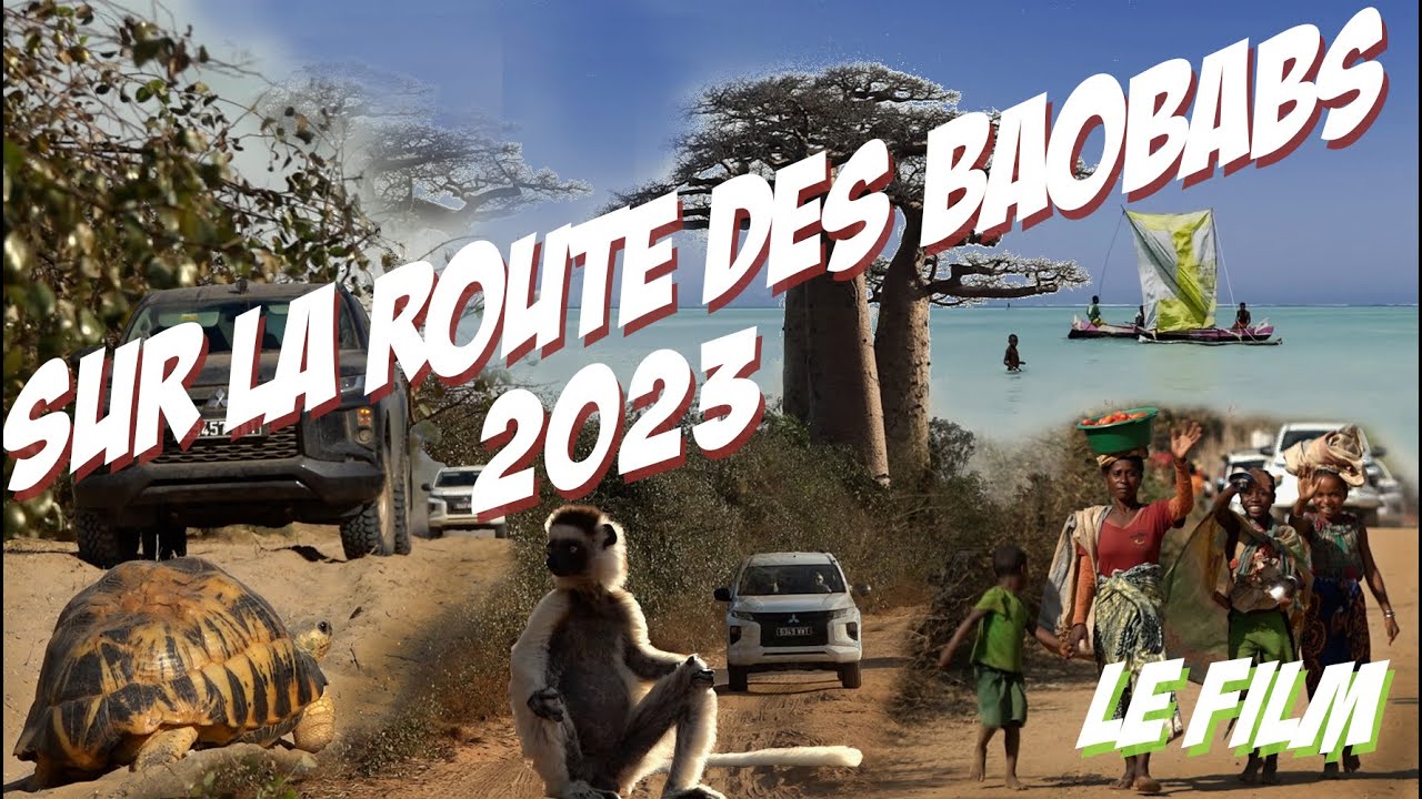 Sur la route des baobabs