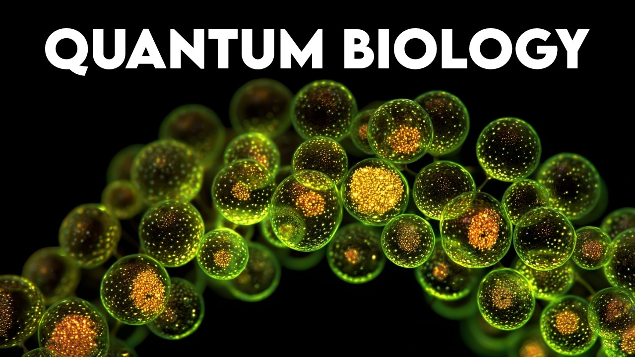 Life Figured Out Quantum Physics 3 Billion Years Before We Did