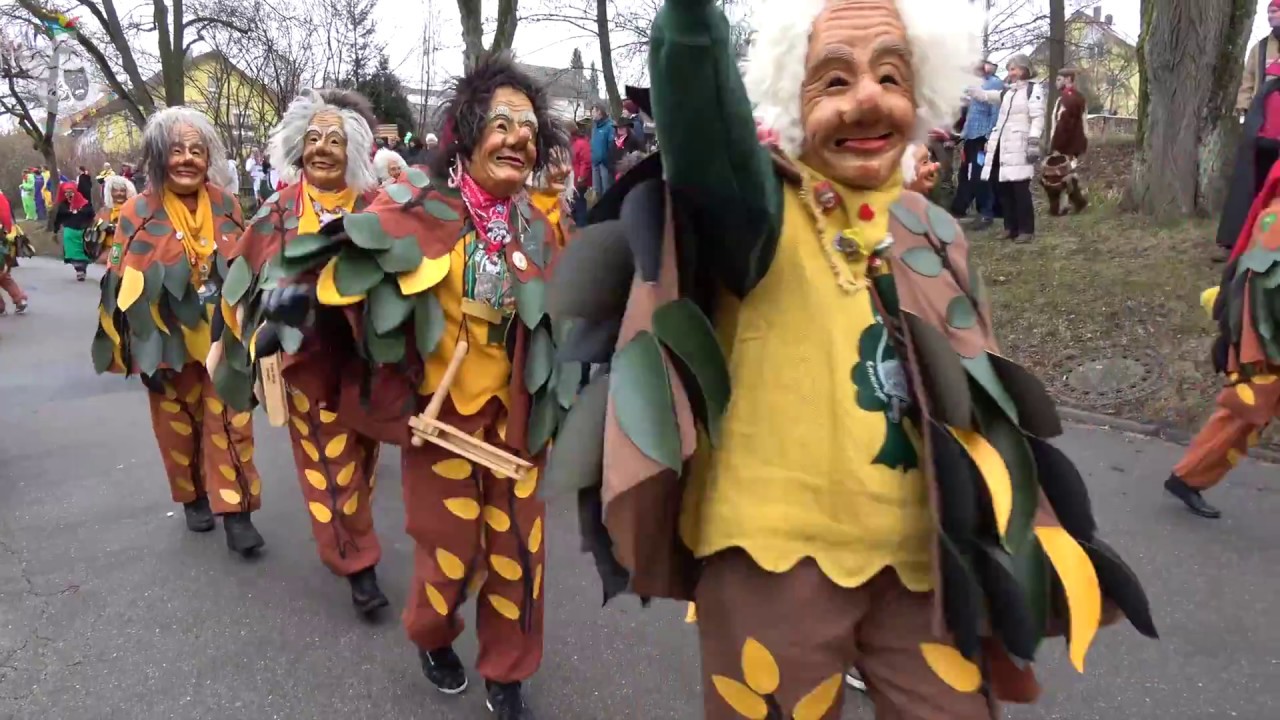 Narrentage Markelfingen Jubiläumsumzug 05.02.2017