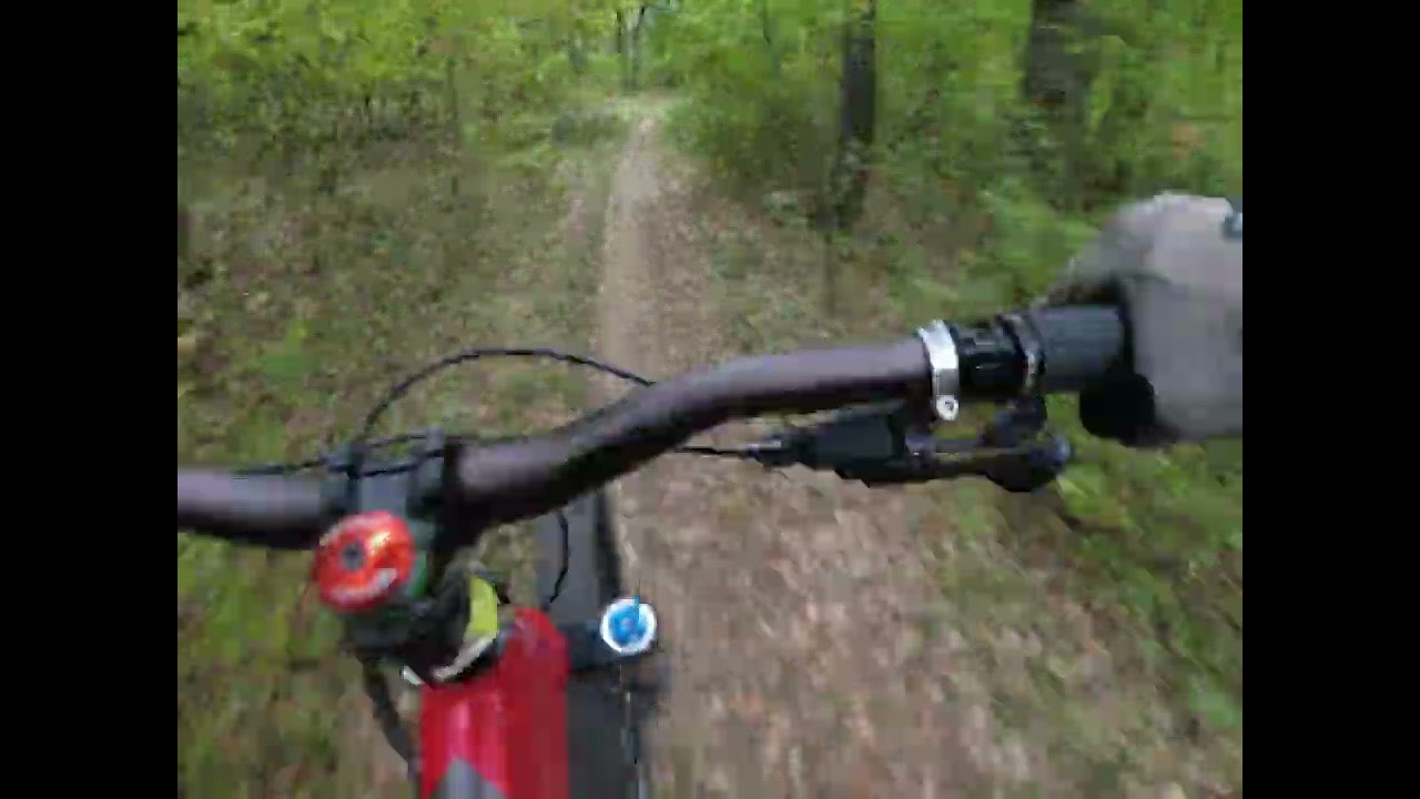 Berva DH 2022 /10