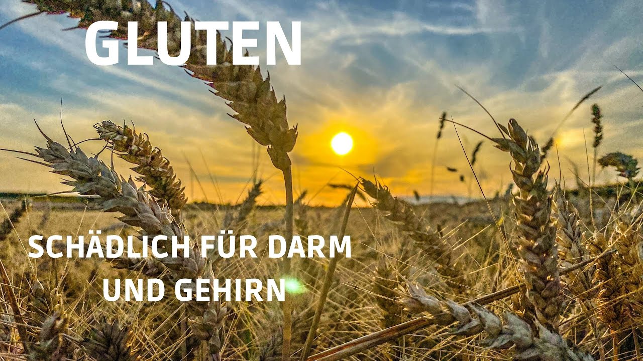 Gluten - schädlich für Darm und Gehirn