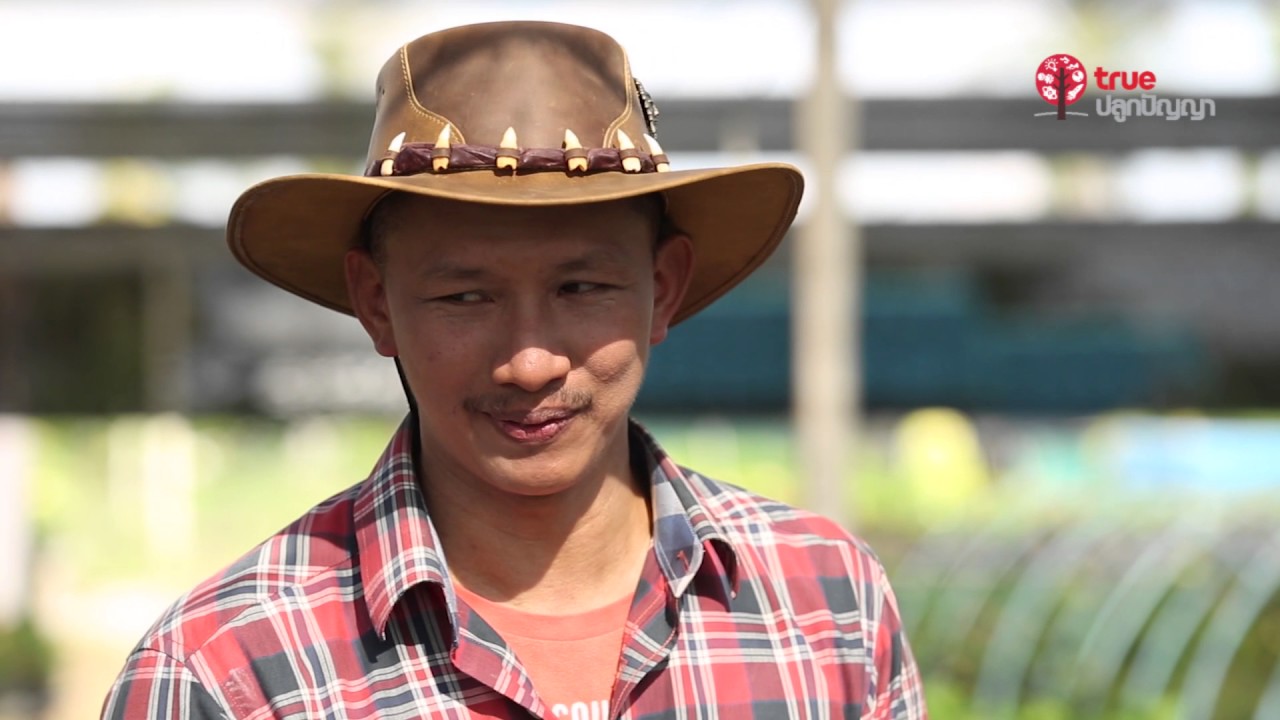 เกษตรขั้นเทพ : 18 โป๊ยเซียน